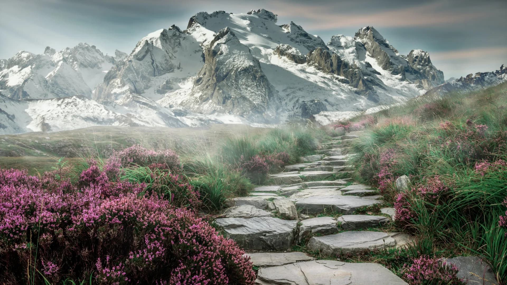 unser-weg-bei-highberg placeholder
