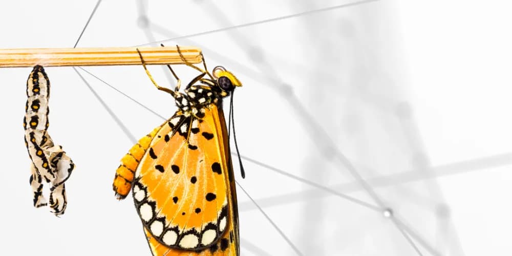 Podcast digitaal transformeren horizontaal placeholder