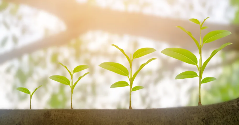 Volwassenheidsmeting datagedreven werken placeholder