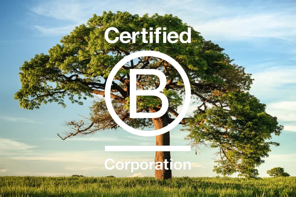 B-Corp-Highberg placeholder