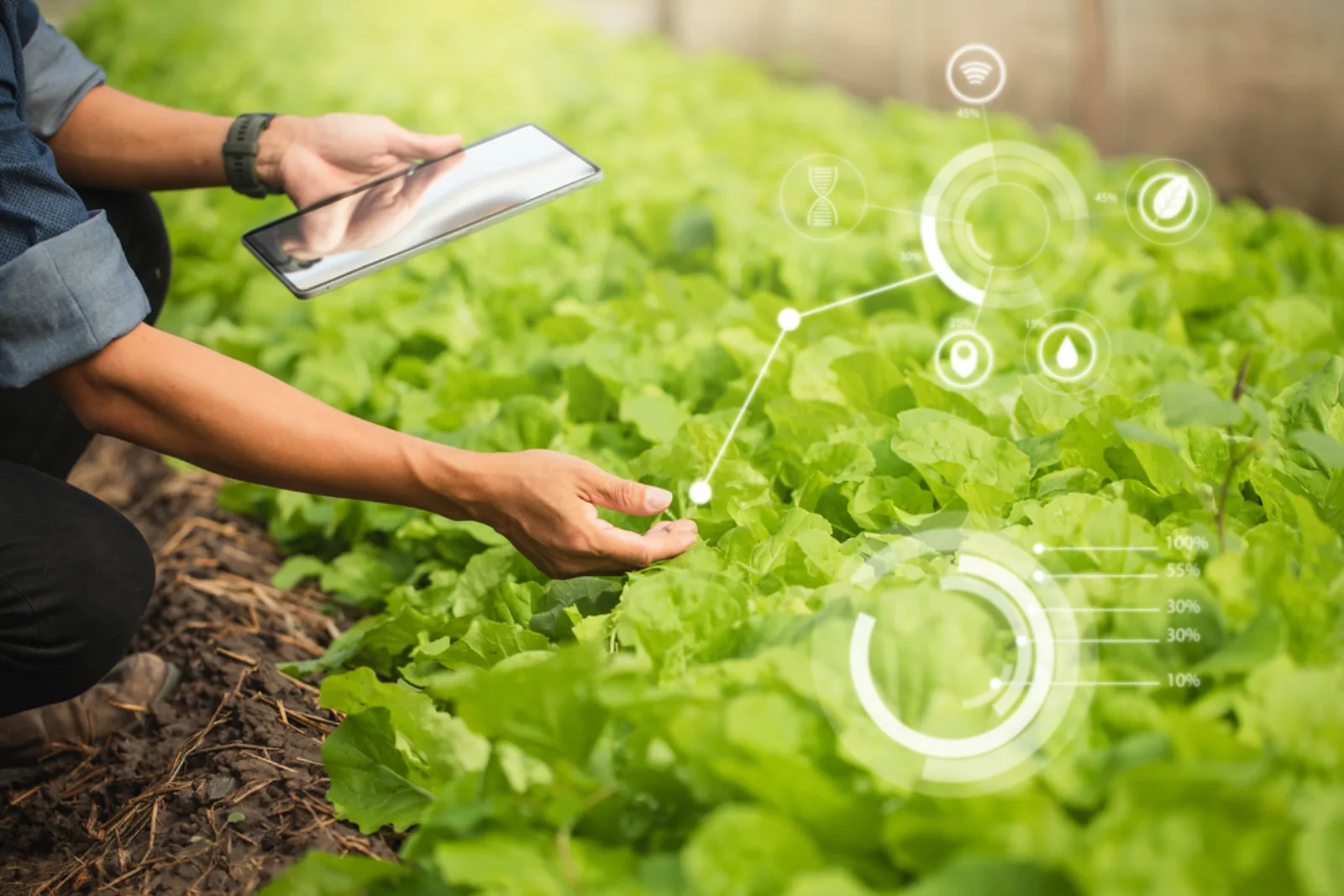focus-je-op-je-kernactiviteiten-voor-échte-groene-impact duurzaam
strategie
actie
impact
groen
ambitie