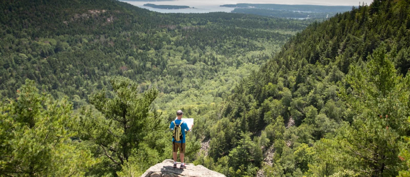 Person standing on a cliff looking at a green mountain covered with trees Data gedreven werken, Datagedreven werken