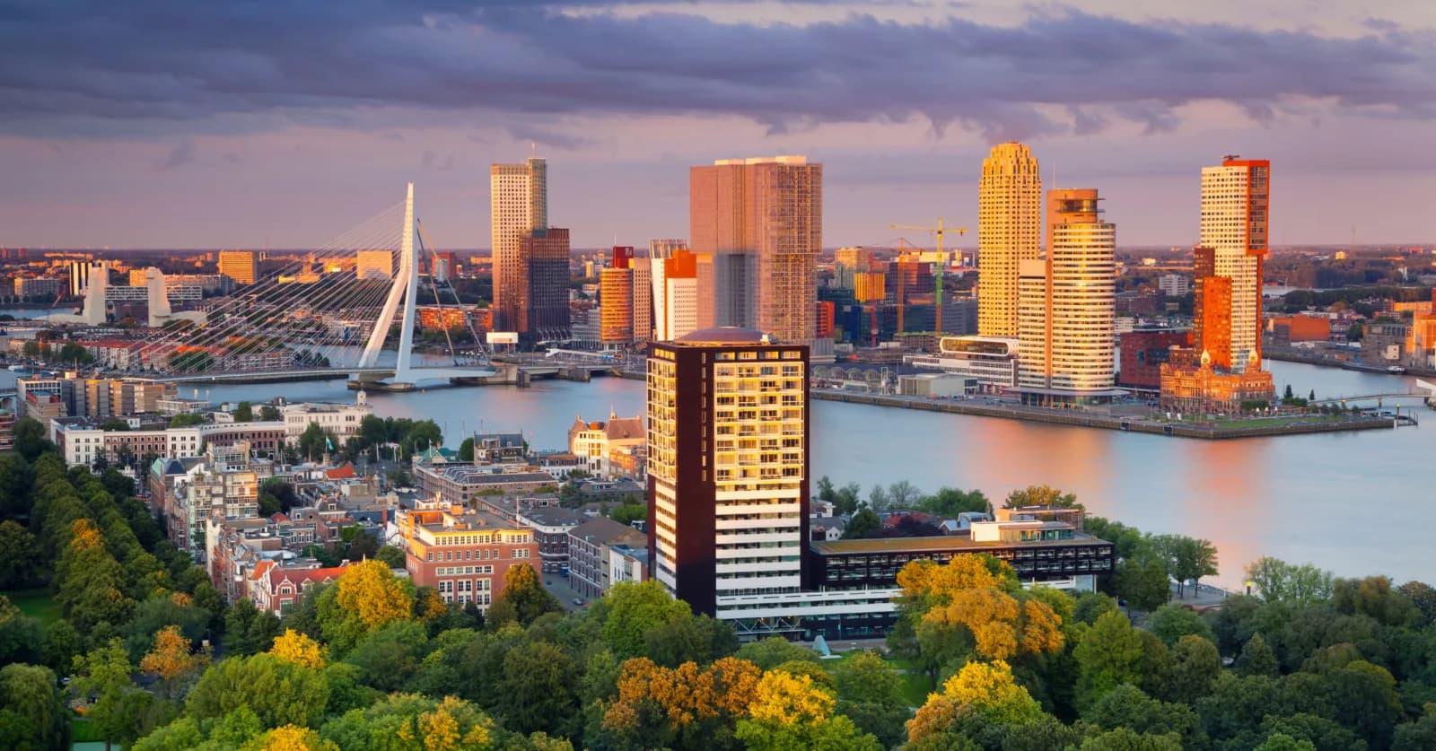 Highberg ondersteunt de gemeente Rotterdam bij verantwoord gebruik van algoritmen en AI systemen placeholder