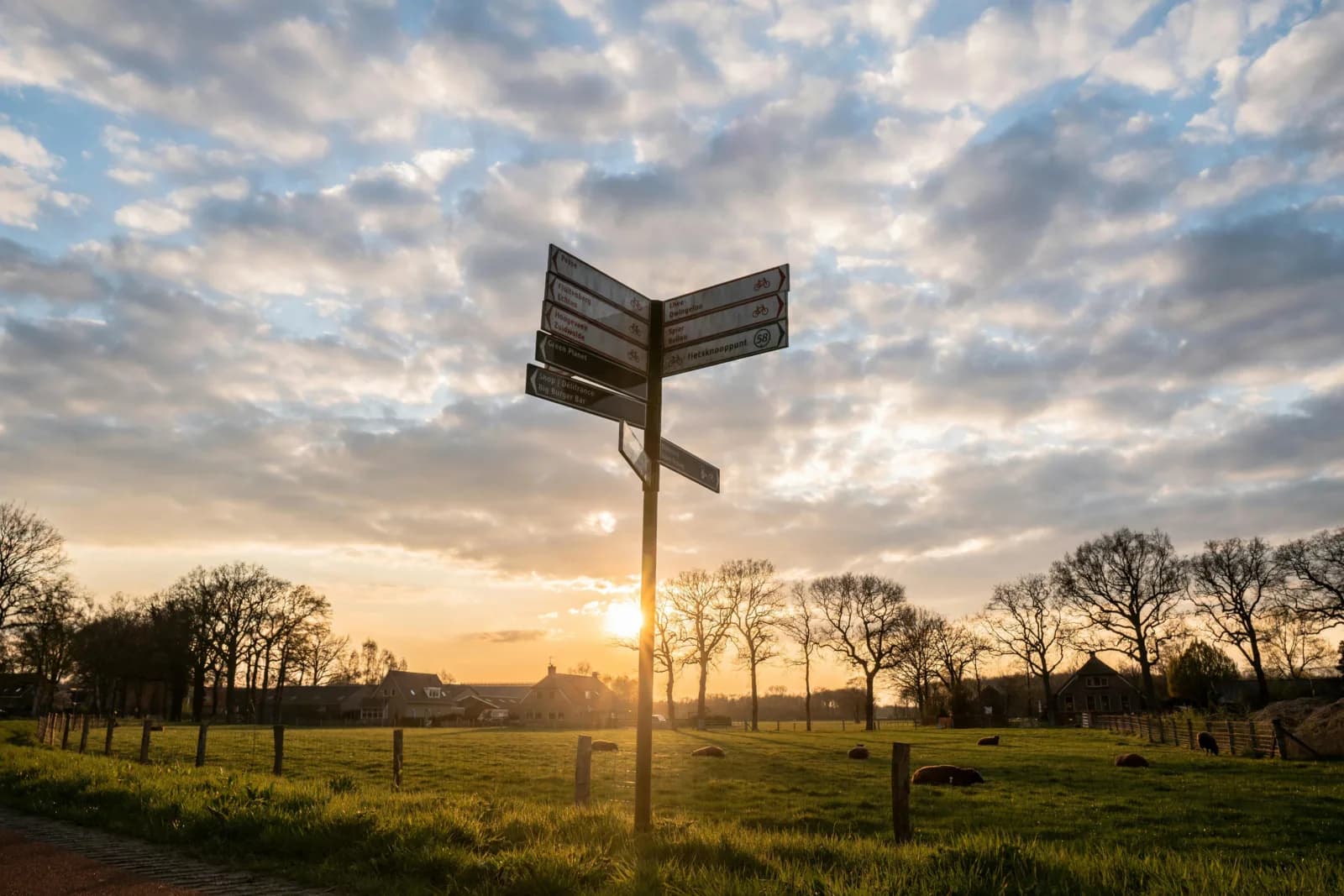 FG binnen een gemeente droombaan of nachtmerrie placeholder