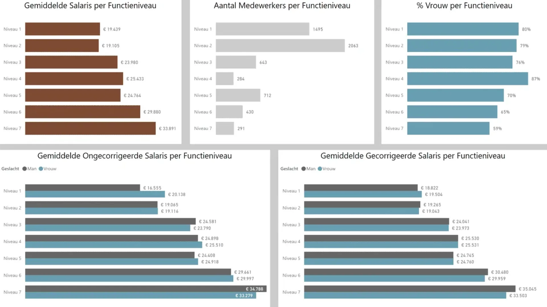 Power BI Dashboard voor gelijk werk gelijk loon 1170x657 placeholder