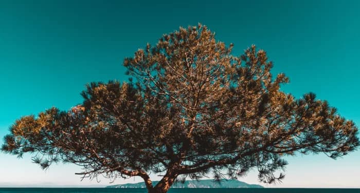 proud-to-be-a-b-corp Trots om een B Corp te zijn