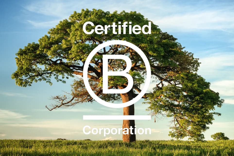 B Corp Highberg Placeholder text